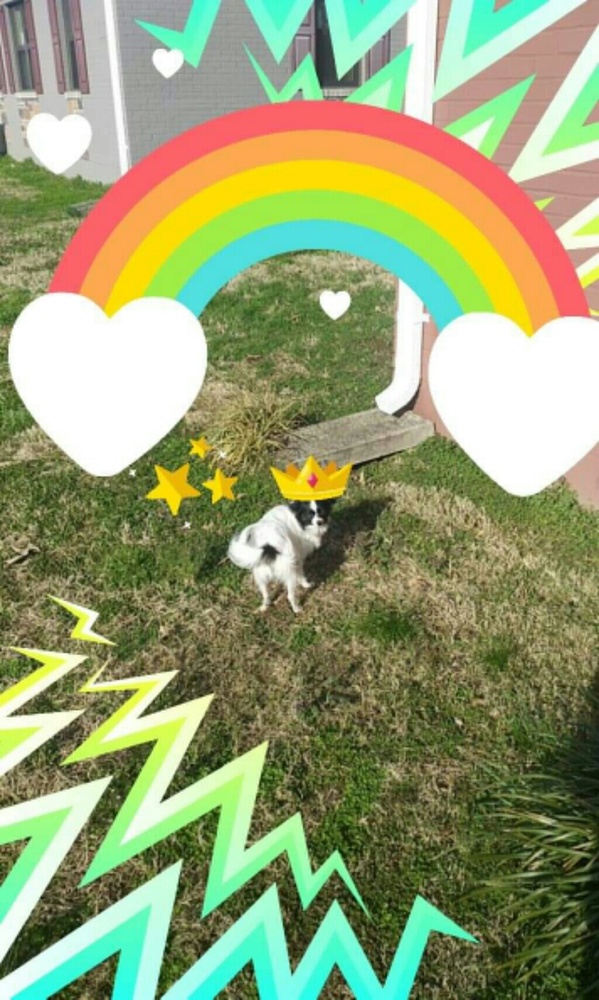 Meet your Posher, Melissa